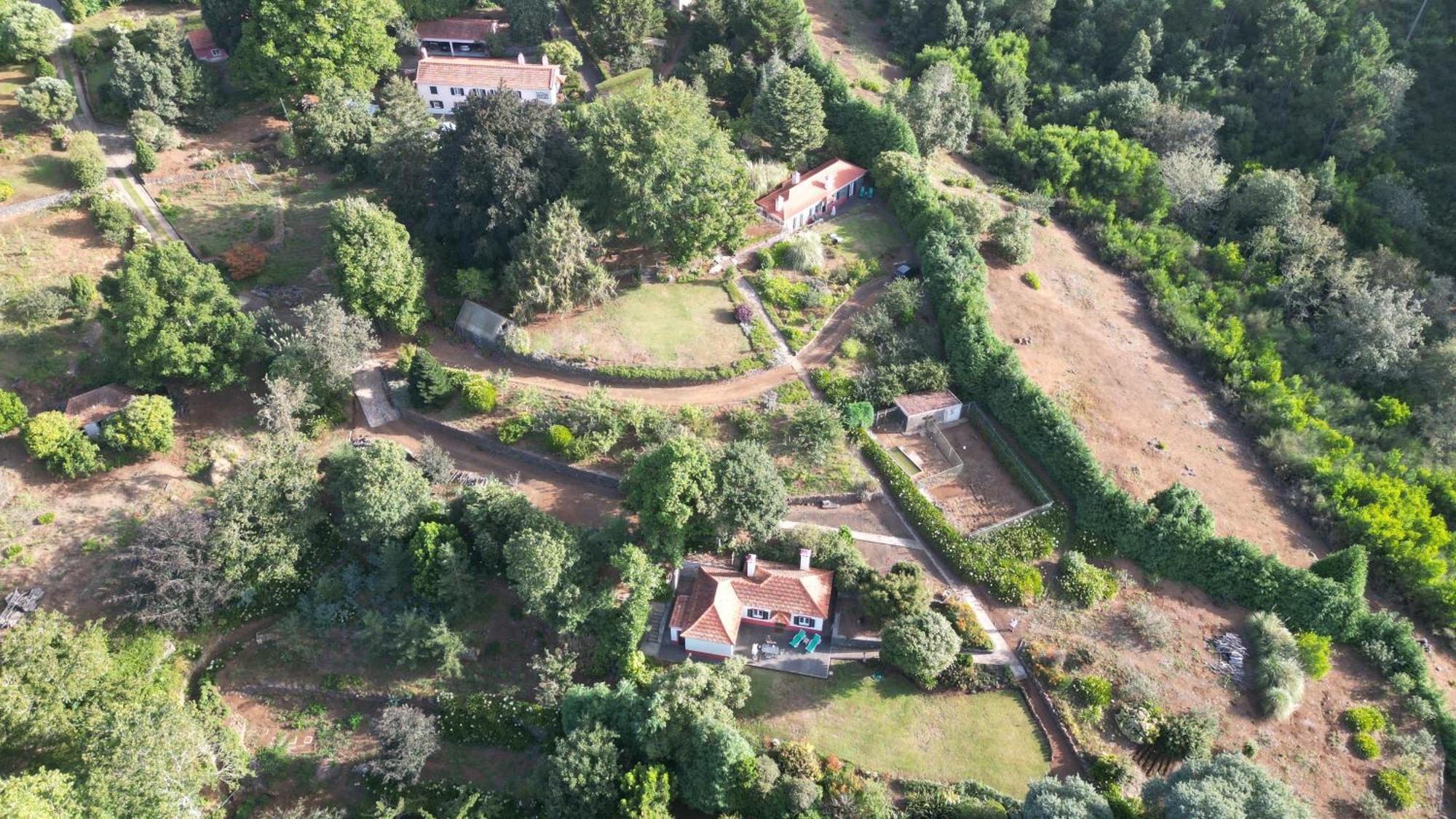 Quinta Das Faias Camacha  Dış mekan fotoğraf