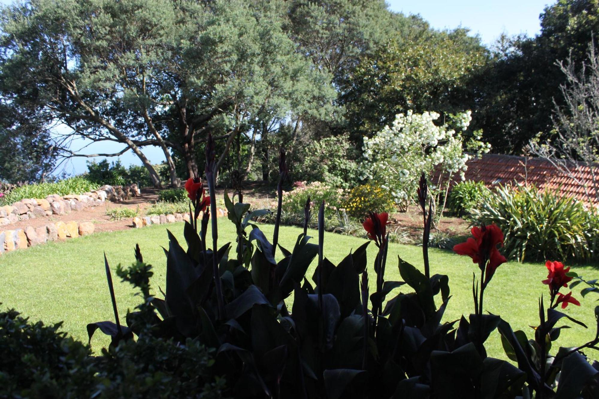 Quinta Das Faias Camacha  Oda fotoğraf