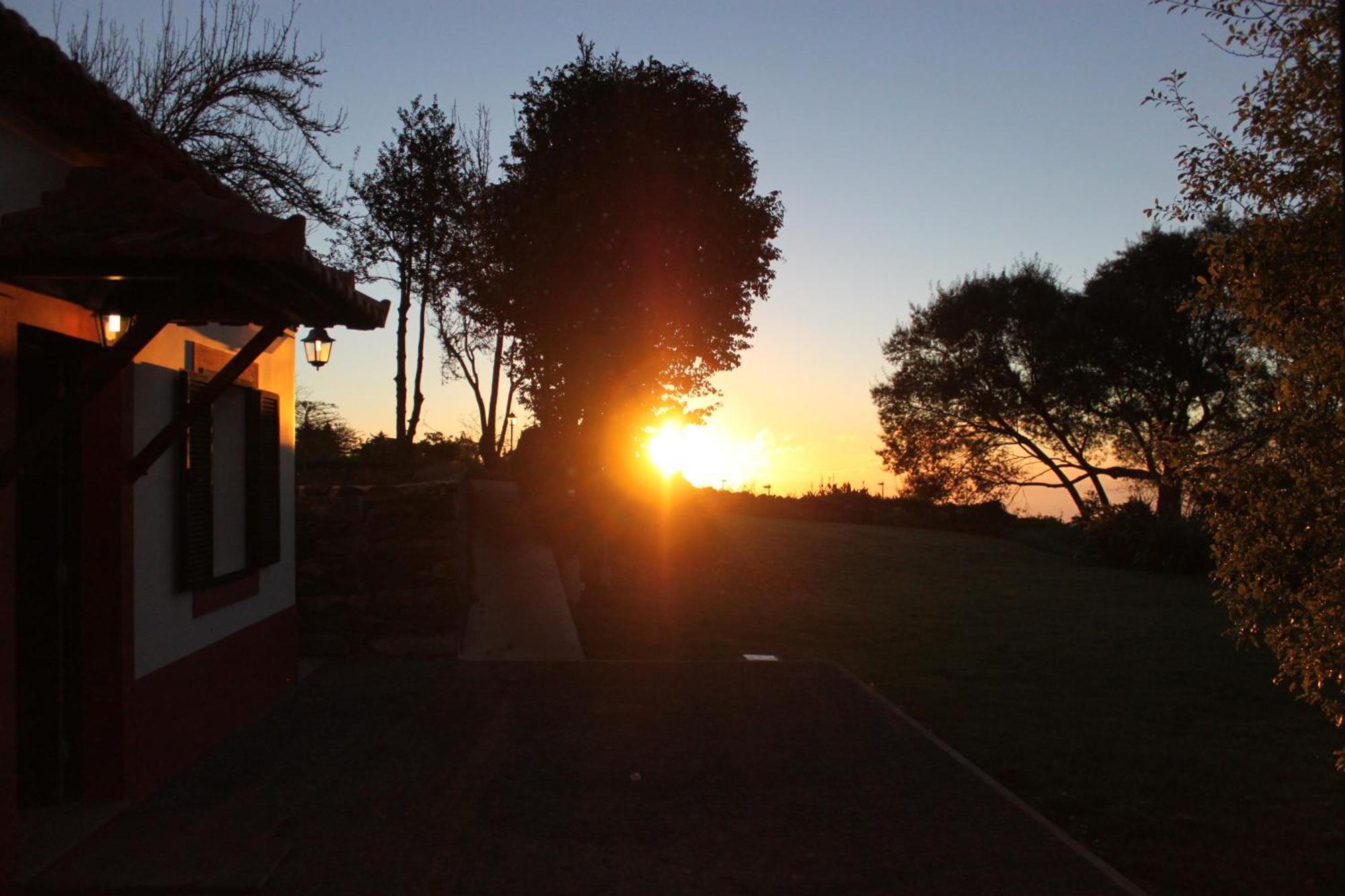 Quinta Das Faias Camacha  Oda fotoğraf