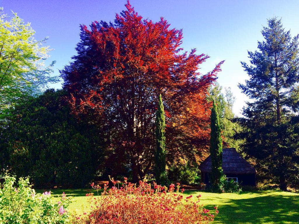 Quinta Das Faias Camacha  Dış mekan fotoğraf